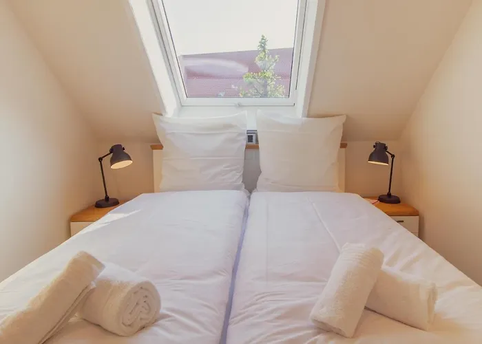 Up Besoeoek - Rapsbluete Mit Infrarotsauna *